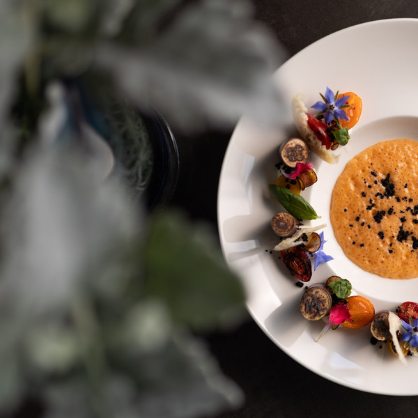 Insights into our hotel in Lazise at Lake Garda Insights into our hotel in Lazise at Lake Garda