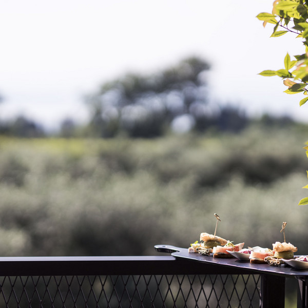 Insights into our hotel in Lazise at Lake Garda Insights into our hotel in Lazise at Lake Garda