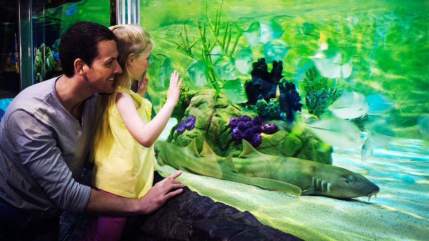 Ihr Familienhotel am Gardasee mit 5 Sternen Ihr Familienhotel am Gardasee mit 5 Sternen